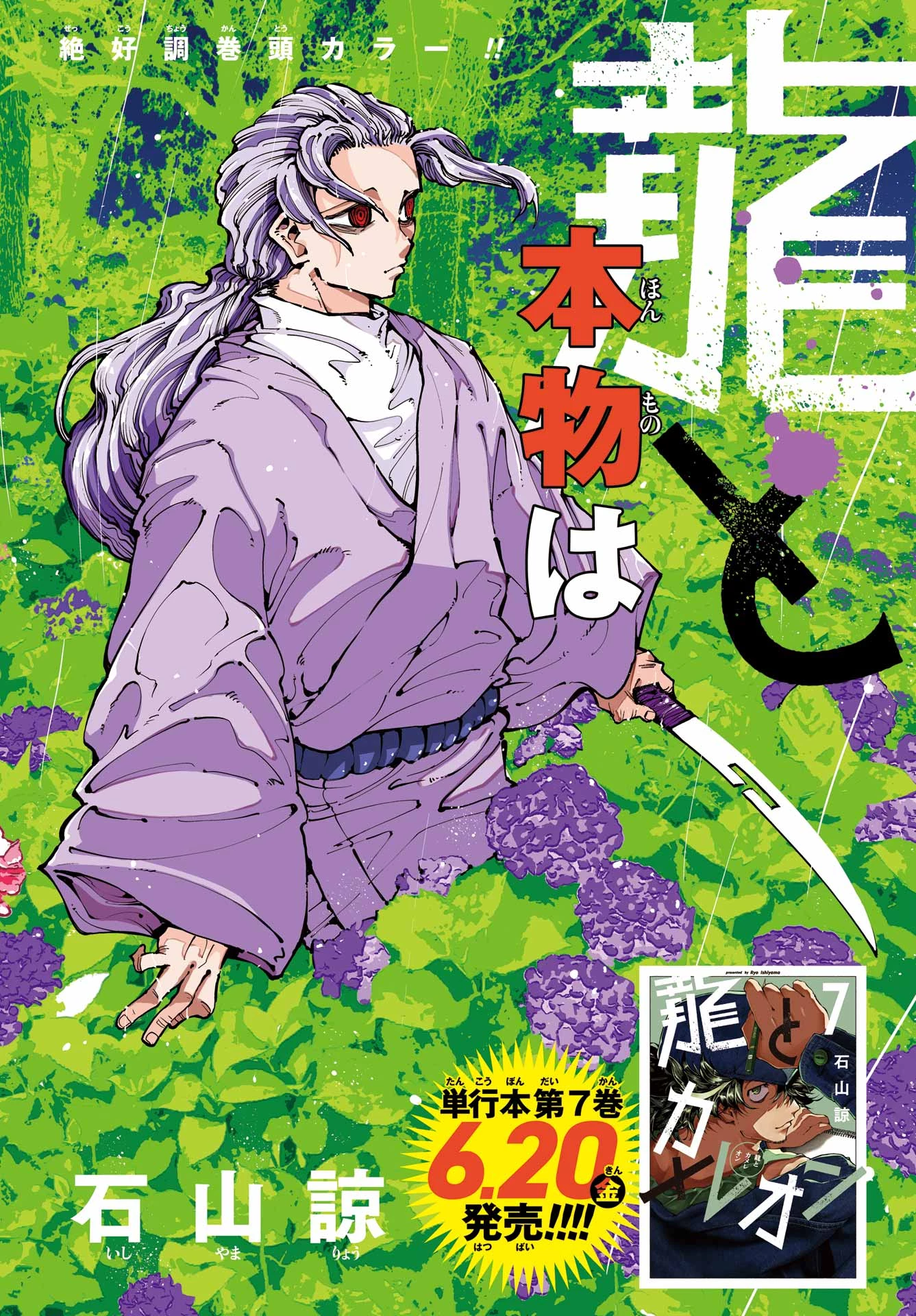 龍とカメレオン 第49話 - 2