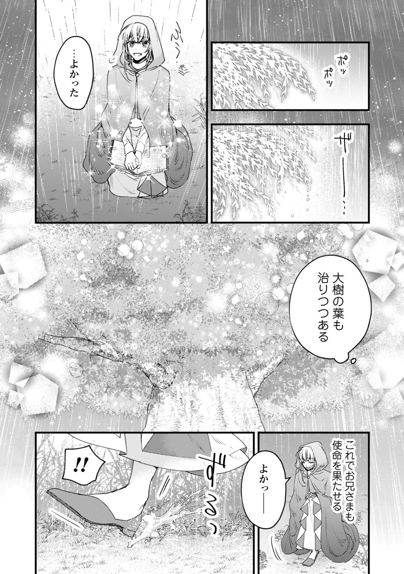 なりそこない聖女は無自覚ヤンデレお義兄さまに溺愛される 第7話 - 5