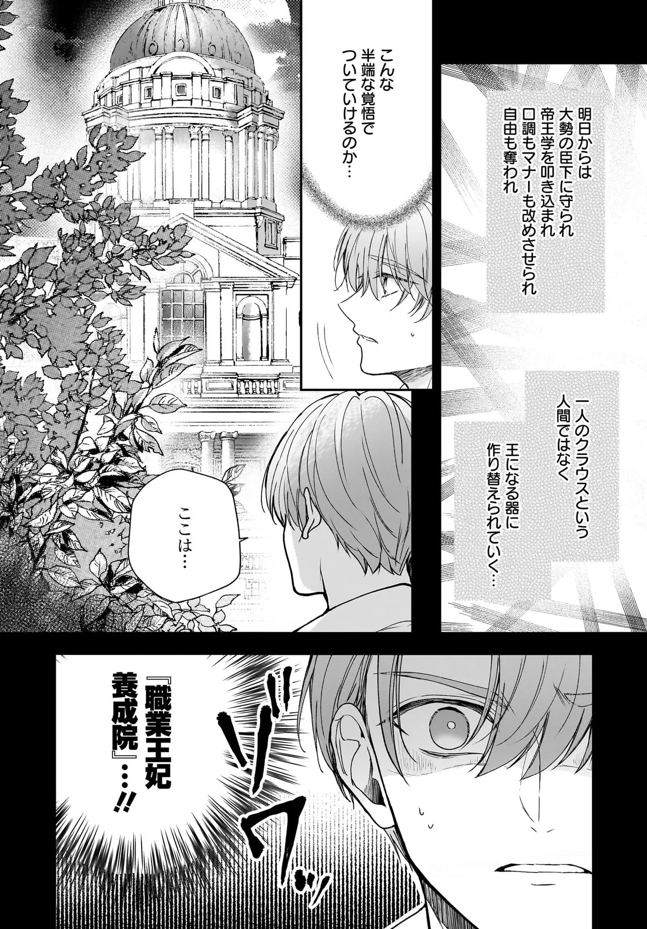 職業王妃ですので王の溺愛はご遠慮願います 第4話 - 18