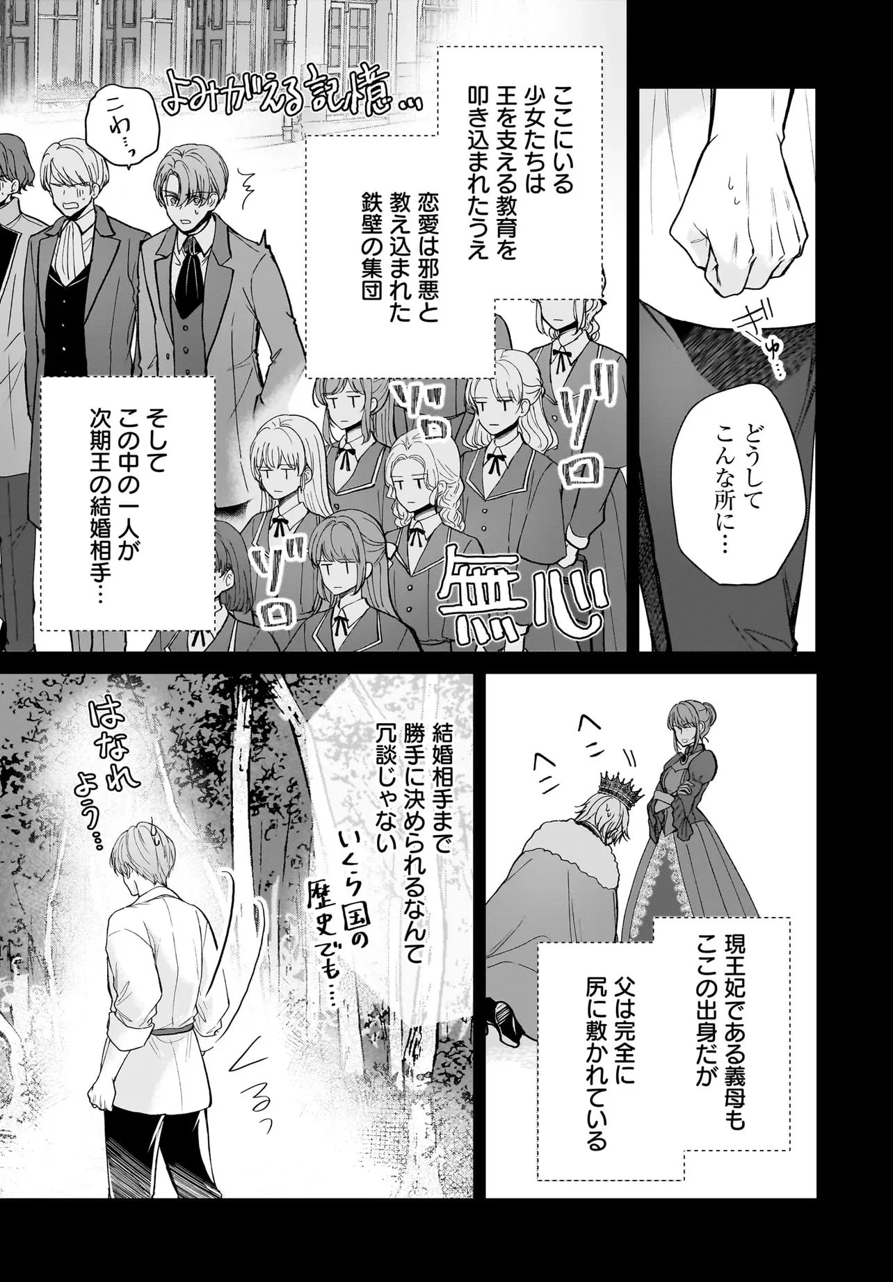 職業王妃ですので王の溺愛はご遠慮願います 第4話 - 19