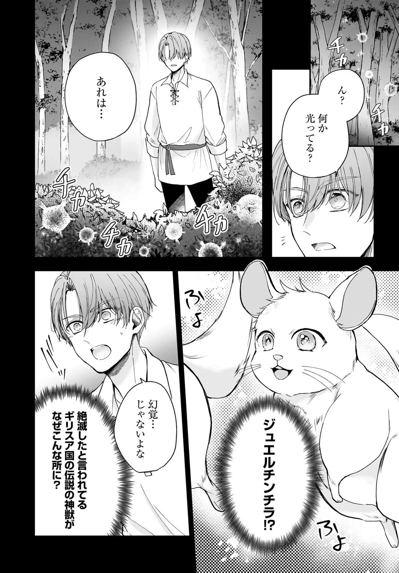 職業王妃ですので王の溺愛はご遠慮願います 第4話 - 20