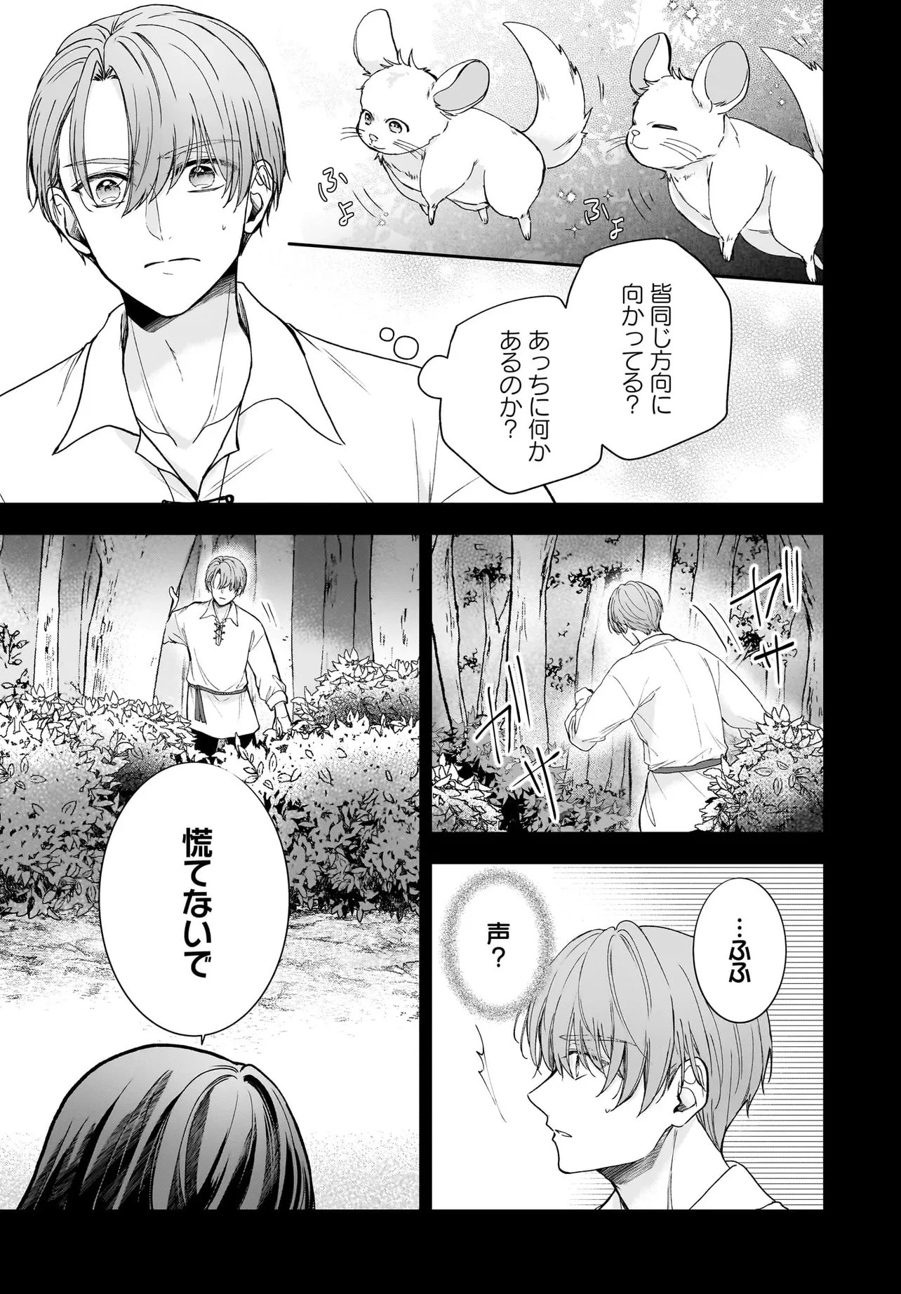 職業王妃ですので王の溺愛はご遠慮願います 第4話 - 21