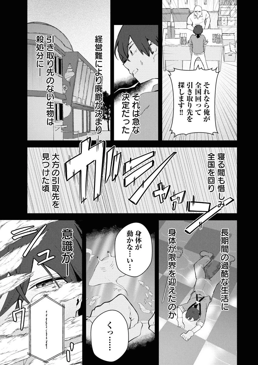 異世界水族館の作り方～モンスター娘たちと無人島で楽園創造スローライフ！～ 第1話 - 7