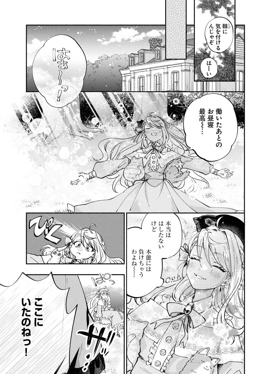婚約者様には運命のヒロインが現れますが、暫定婚約ライフを満喫します！～嫌われ悪女の猫転生譚～ 第4話 - 7