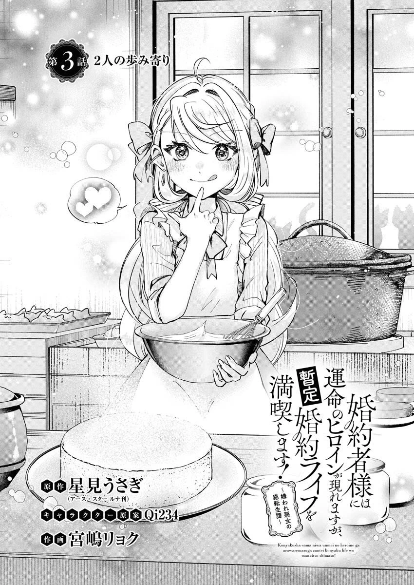 婚約者様には運命のヒロインが現れますが、暫定婚約ライフを満喫します！～嫌われ悪女の猫転生譚～ 第3話 - 3