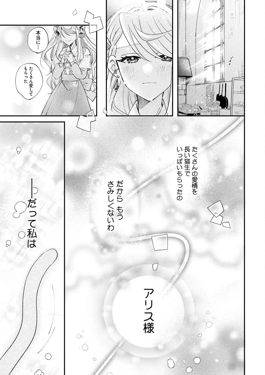 婚約者様には運命のヒロインが現れますが、暫定婚約ライフを満喫します！～嫌われ悪女の猫転生譚～ 第2話 - 13