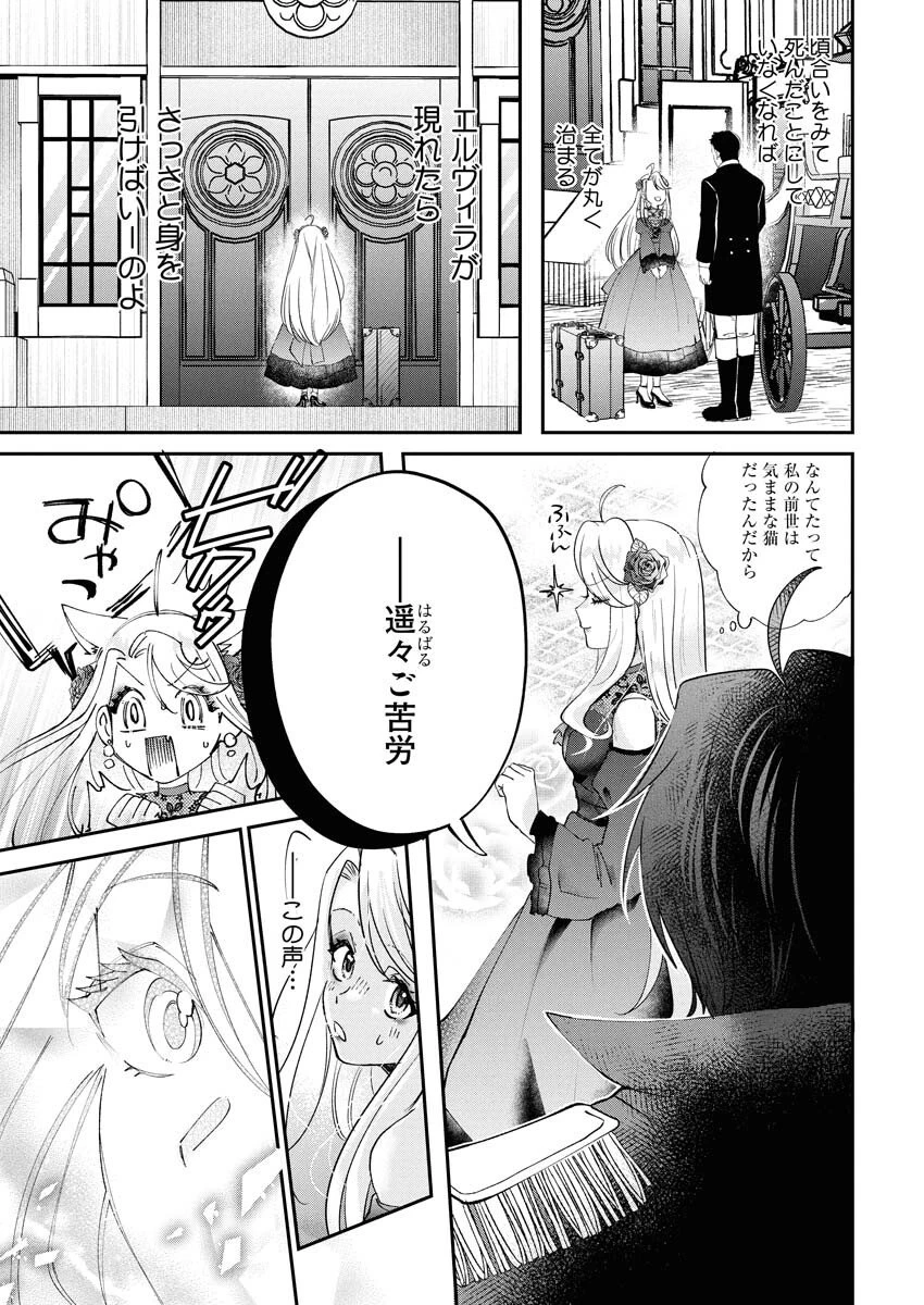 婚約者様には運命のヒロインが現れますが、暫定婚約ライフを満喫します！～嫌われ悪女の猫転生譚～ 第1話 - 31