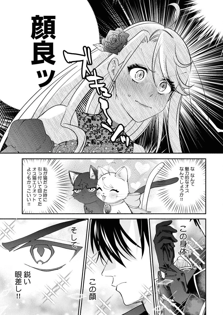 婚約者様には運命のヒロインが現れますが、暫定婚約ライフを満喫します！～嫌われ悪女の猫転生譚～ 第1話 - 35