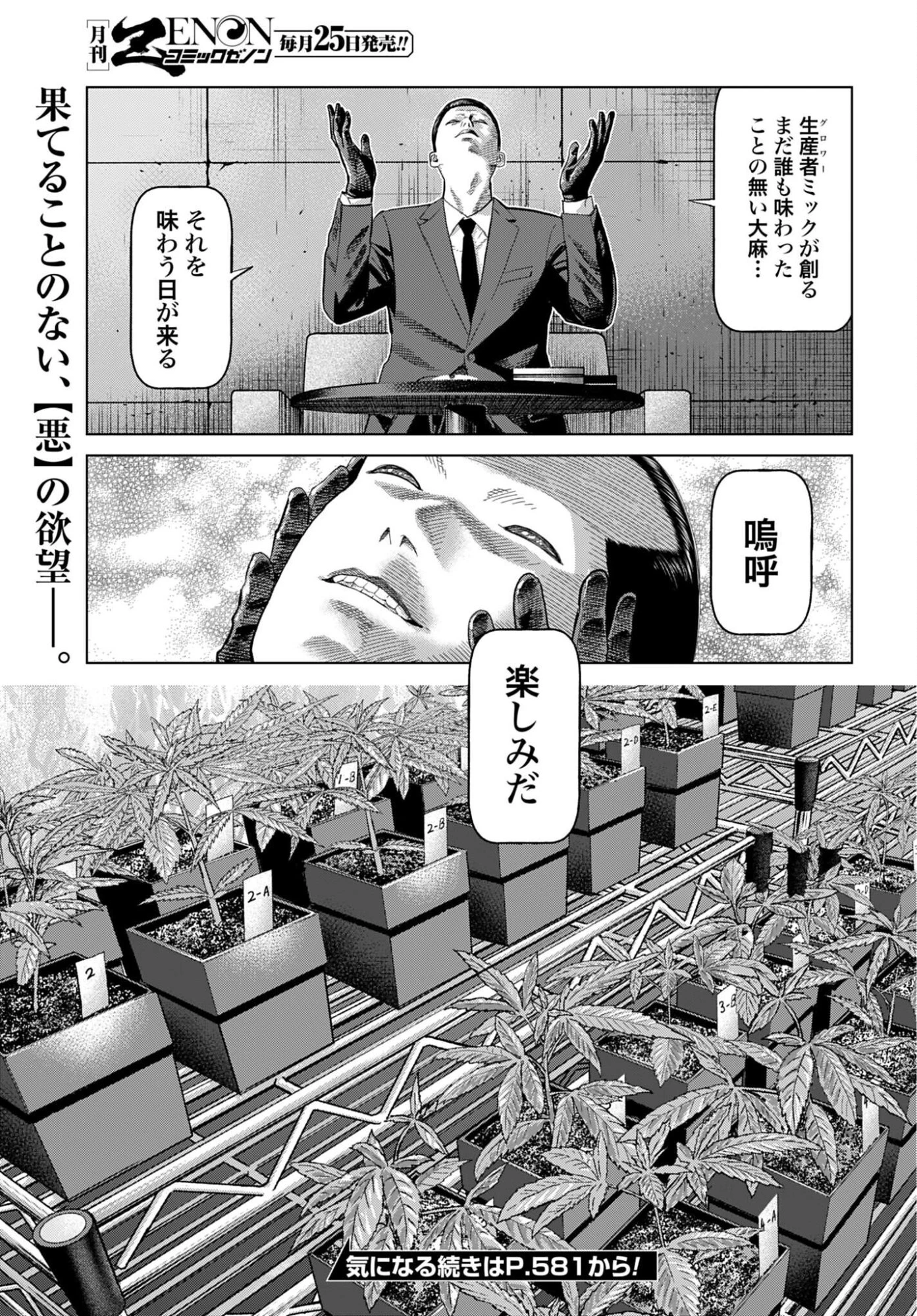 東京カンナビス特区 大麻王と呼ばれた男 第79話 - 19