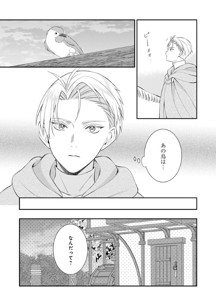最恐魔法使いの愛が一途すぎる 封印された元聖女は禁忌の愛でお目覚めです 第10話 - 6