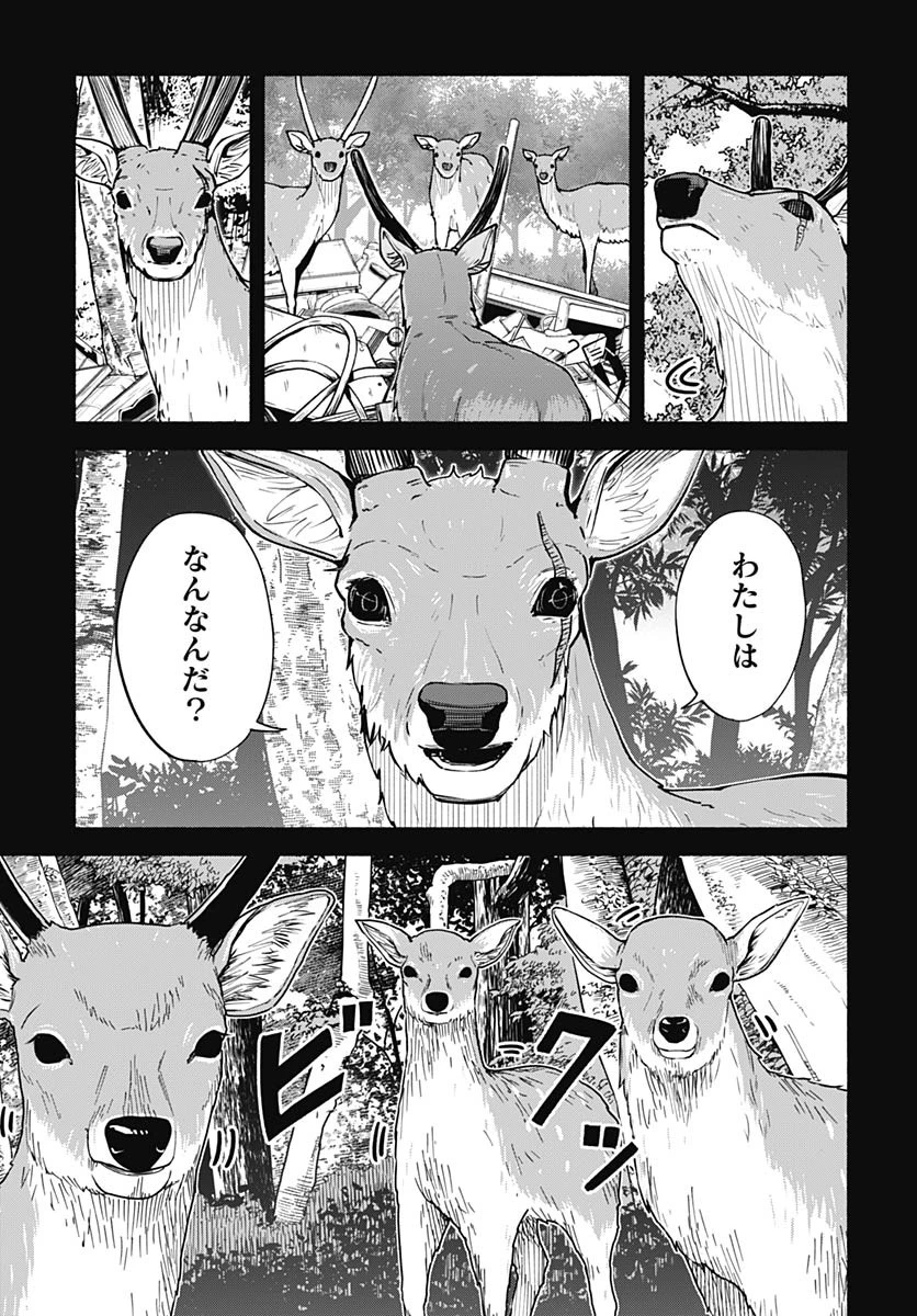 ミナミザスーパーエボリューション 第5話 - 29