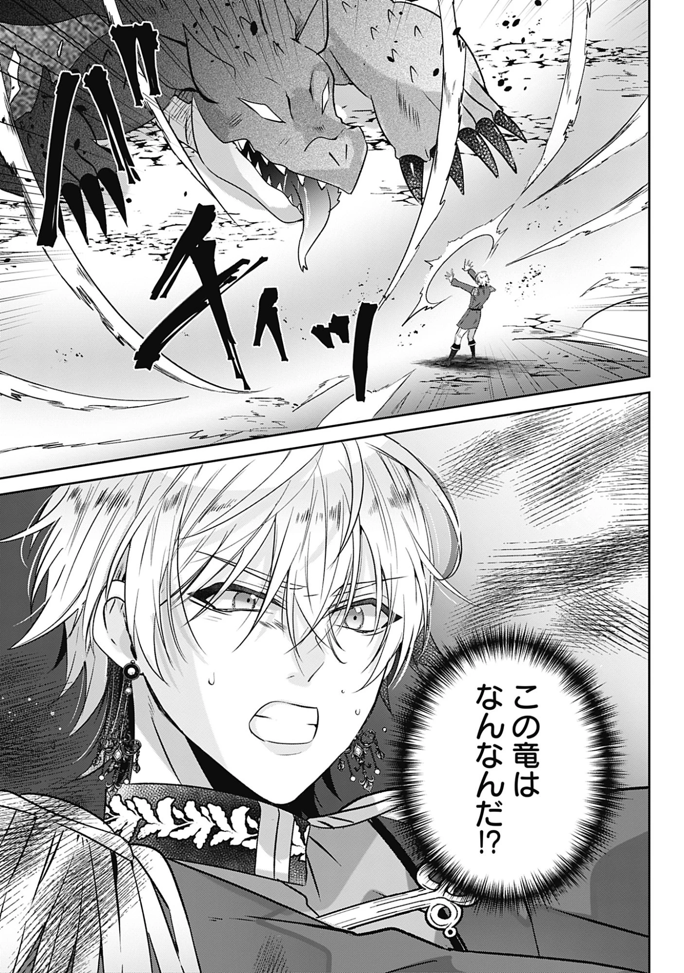 籠のなかの竜聖女 -虐げられた伯爵令嬢は、今日も溺愛されています- 第19話 - 19