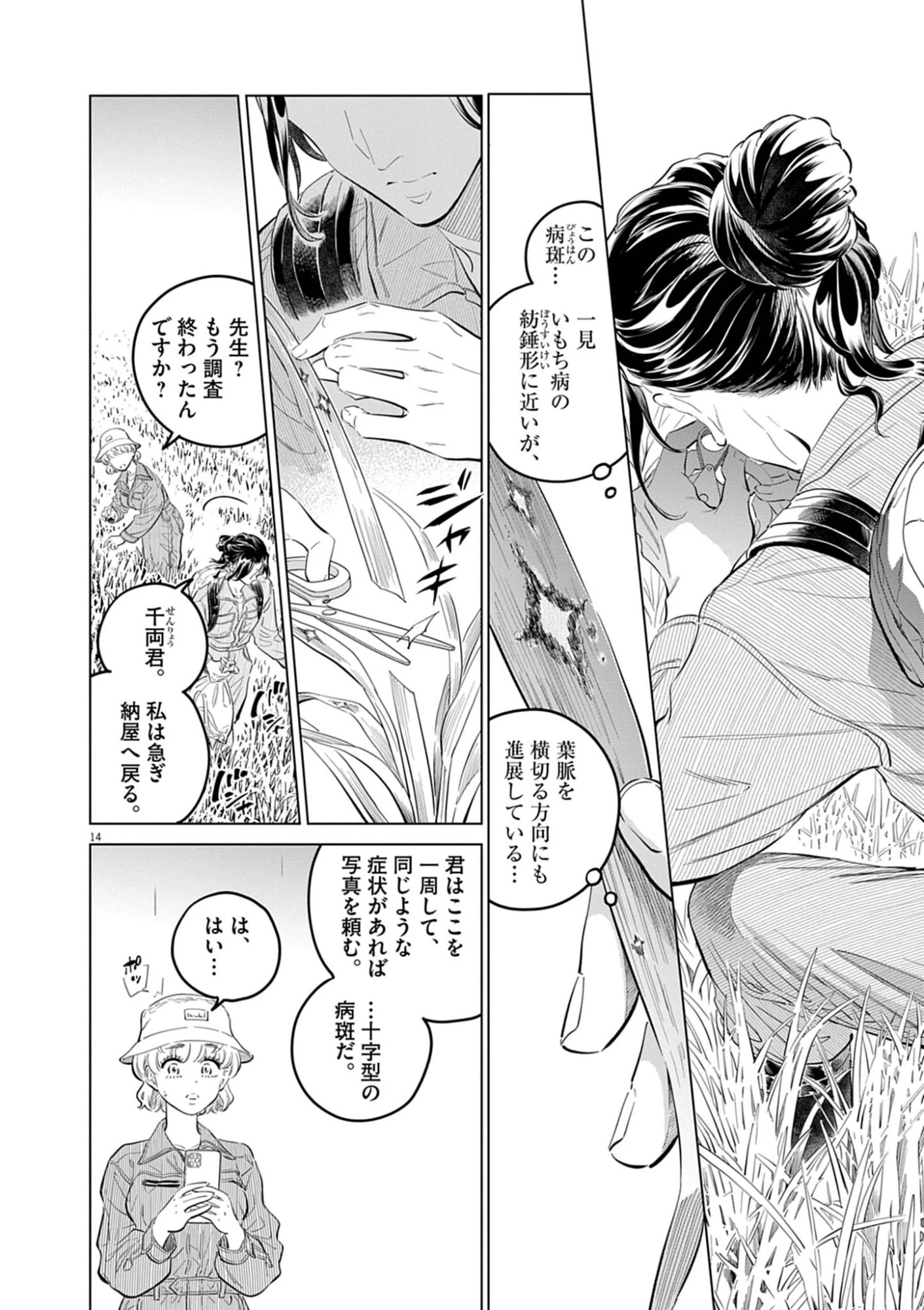 植物病理学は明日の君を願う 第40話 - 14