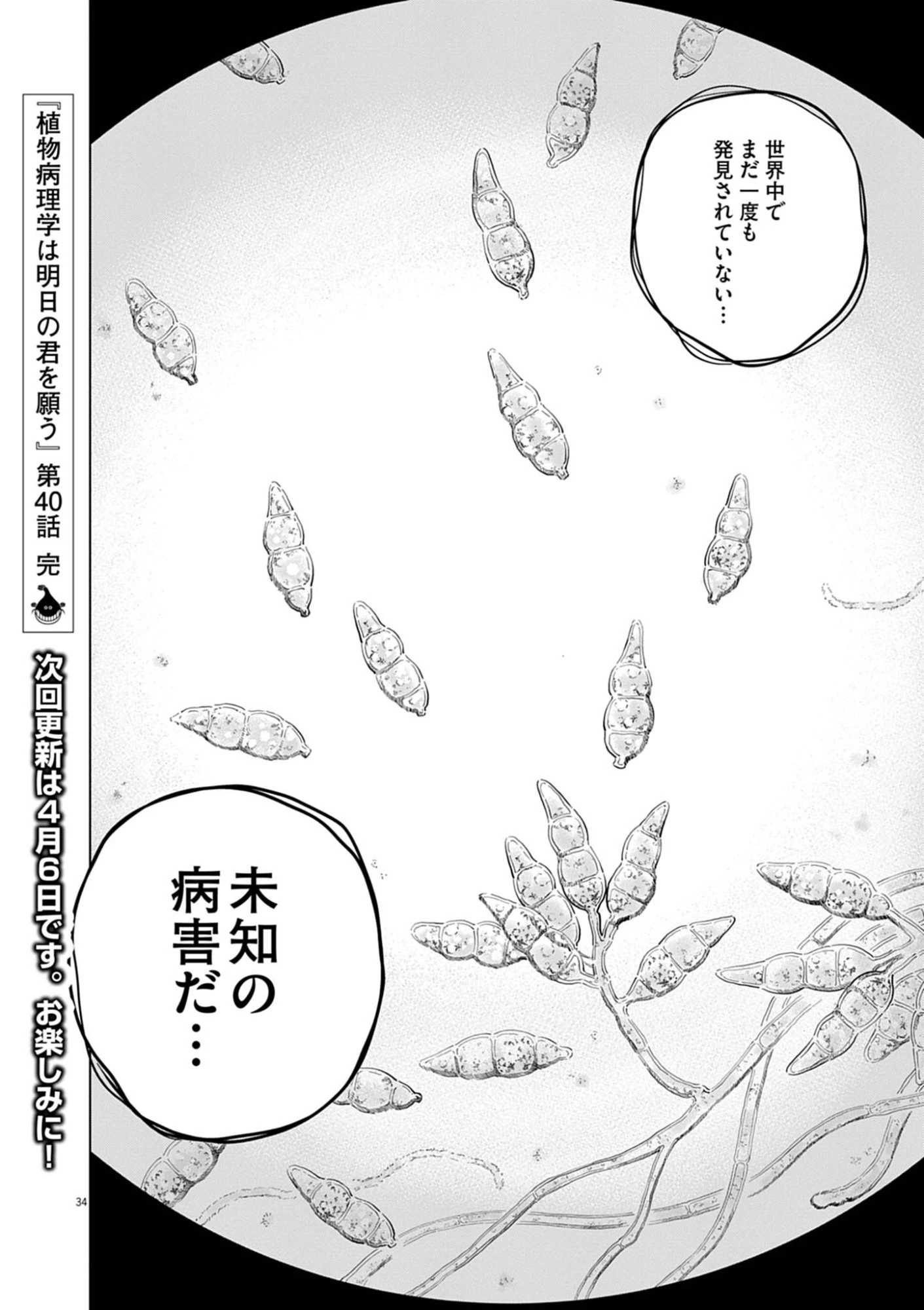 植物病理学は明日の君を願う 第40話 - 34