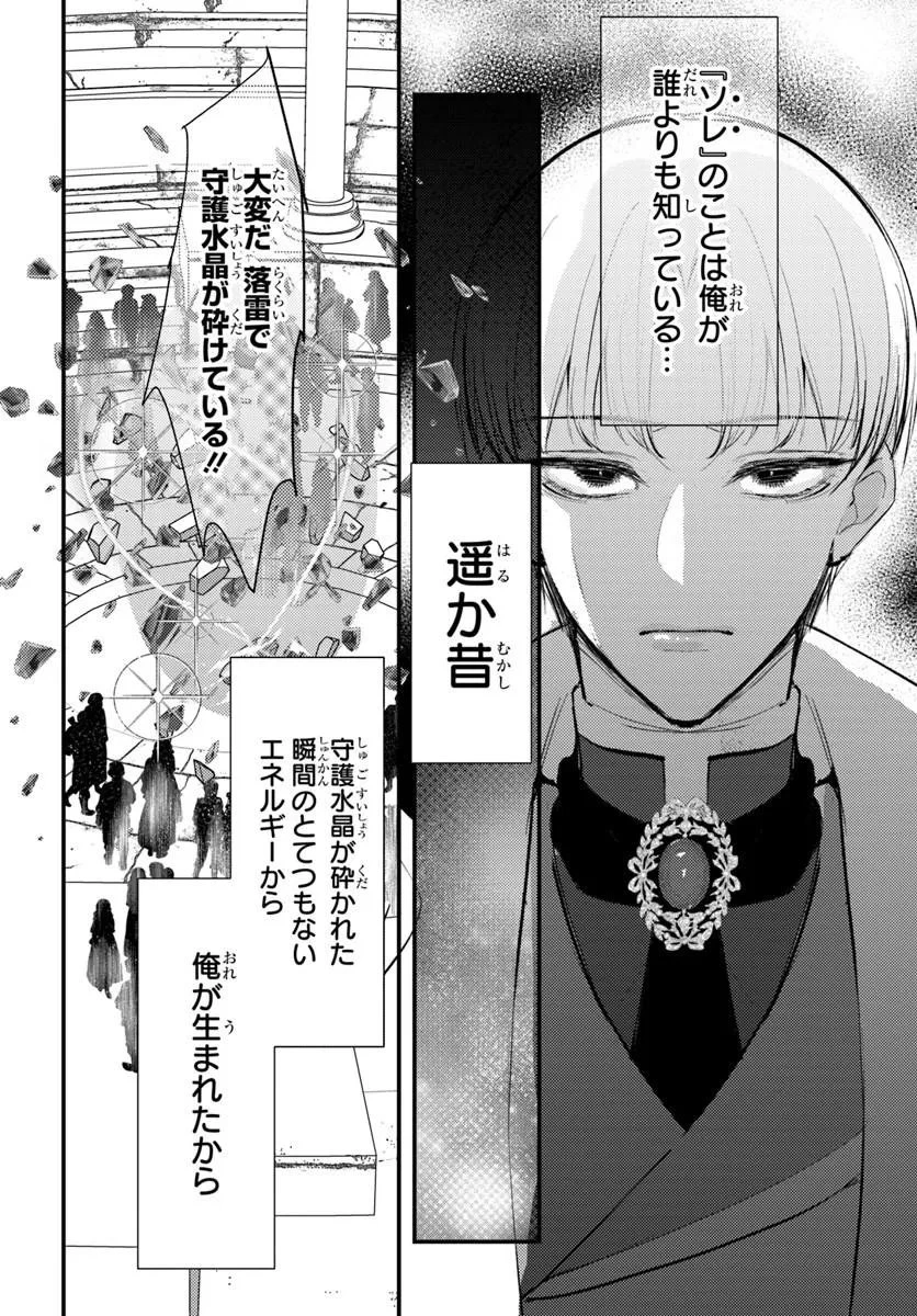 精霊に「お前は主人にふさわしくない、契約破棄してくれ!」と言われたので、欲しがっている妹に譲ります 第9話 - 8