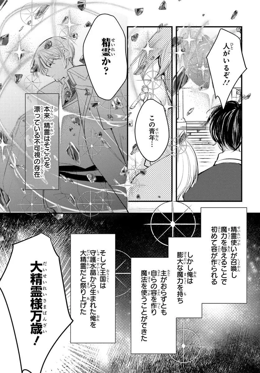 精霊に「お前は主人にふさわしくない、契約破棄してくれ!」と言われたので、欲しがっている妹に譲ります 第9話 - 9