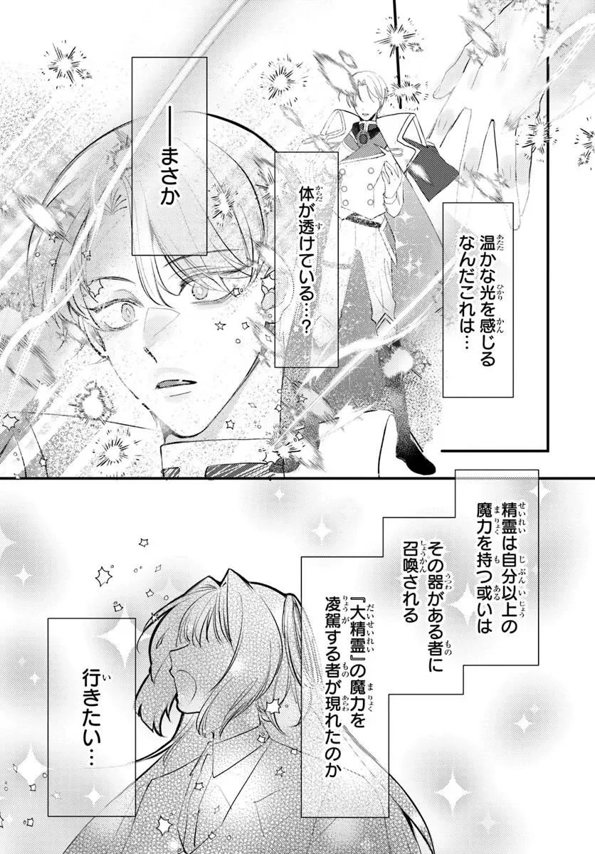 精霊に「お前は主人にふさわしくない、契約破棄してくれ!」と言われたので、欲しがっている妹に譲ります 第9話 - 16