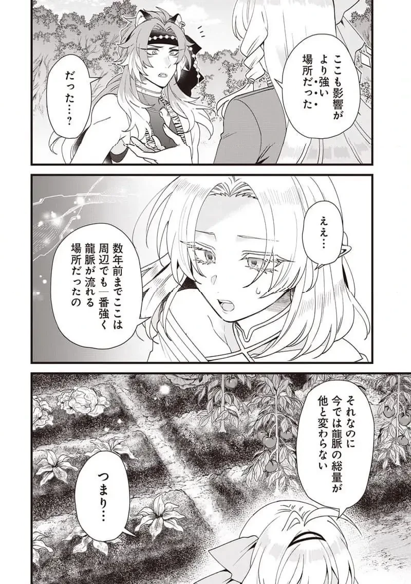 左遷された第三王女は『辺境改革』を始めます!! 第14話 - 8