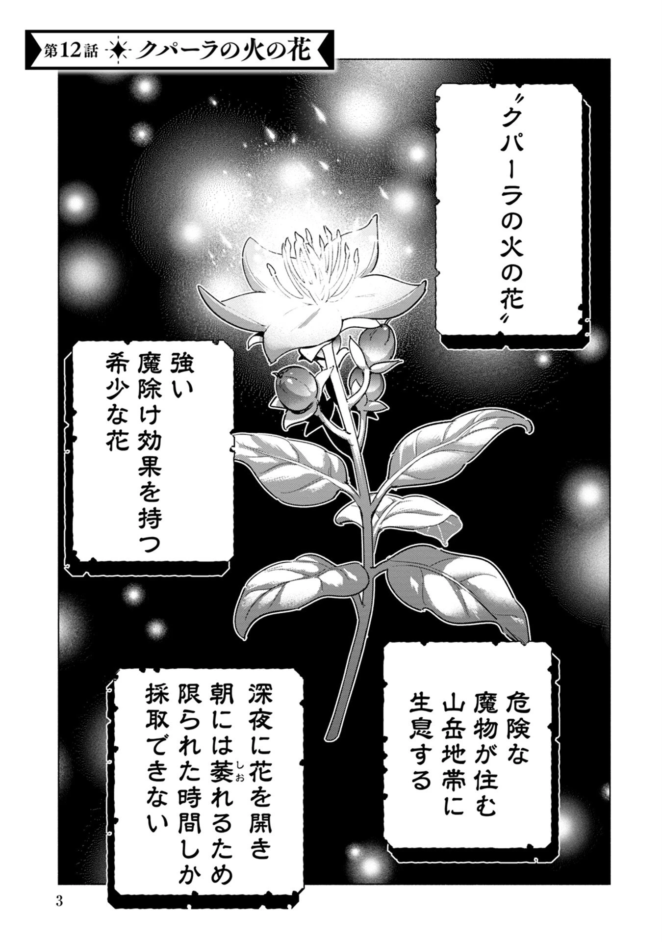 宮廷魔導師見習いを辞めて 第12話 - 1
