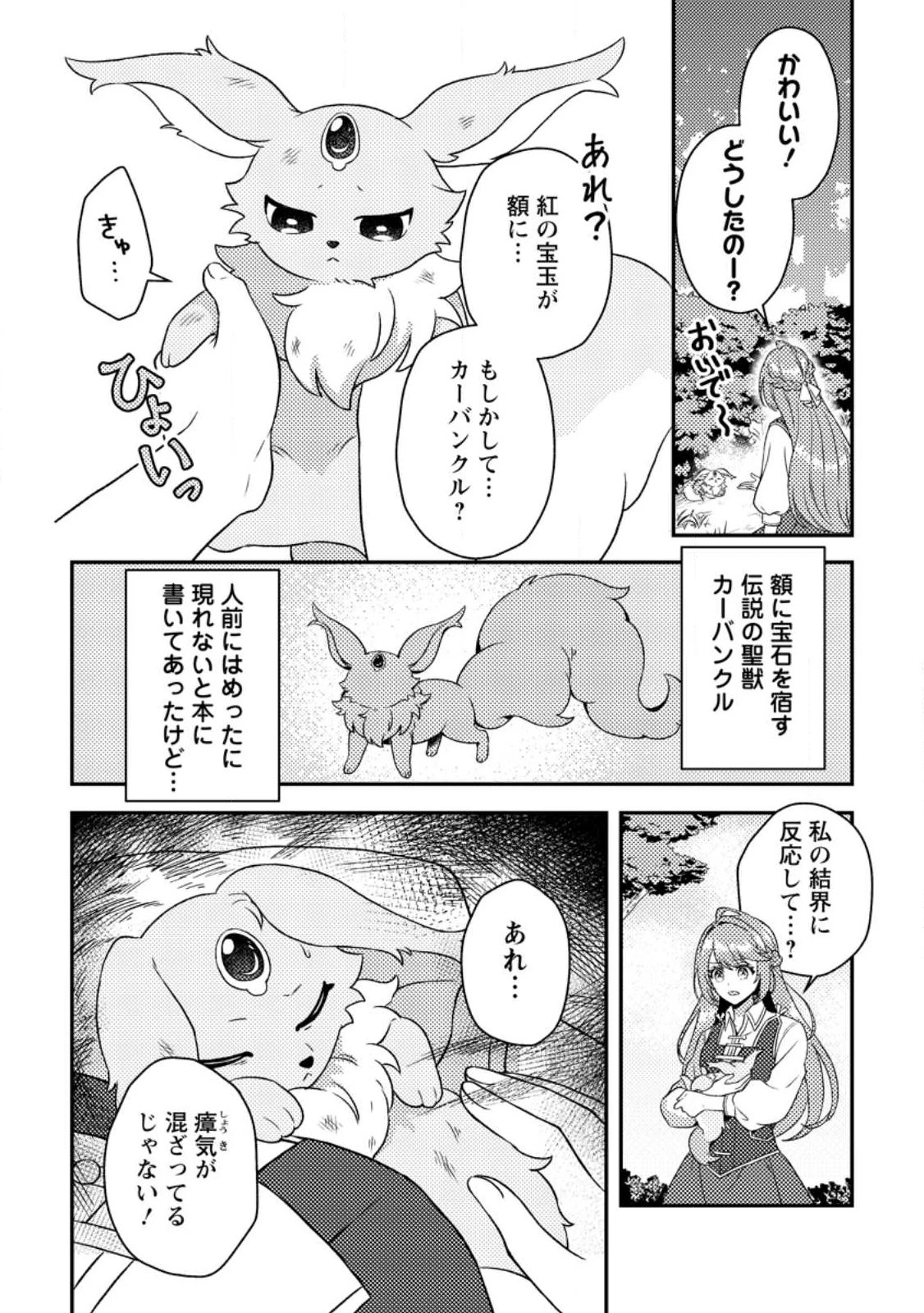 宝石の聖女―「欲深女め!」と追放されたけど 第1話 - 18