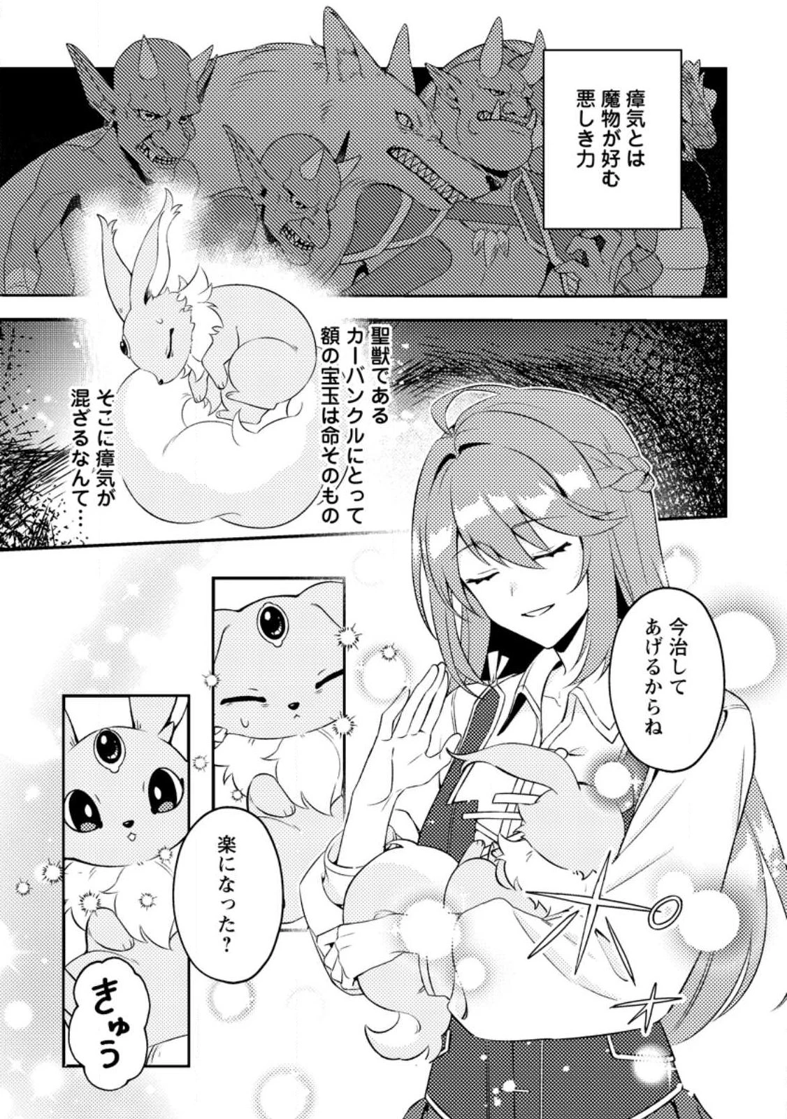 宝石の聖女―「欲深女め!」と追放されたけど 第1話 - 19