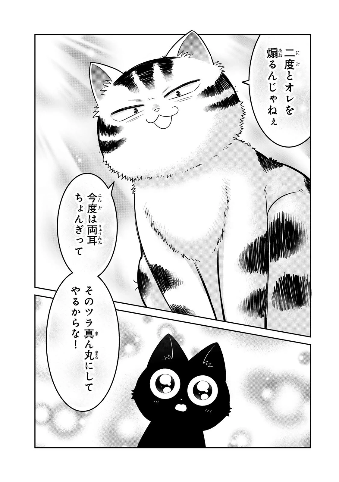 ルドルフとイッパイアッテナ 第6話 - 15