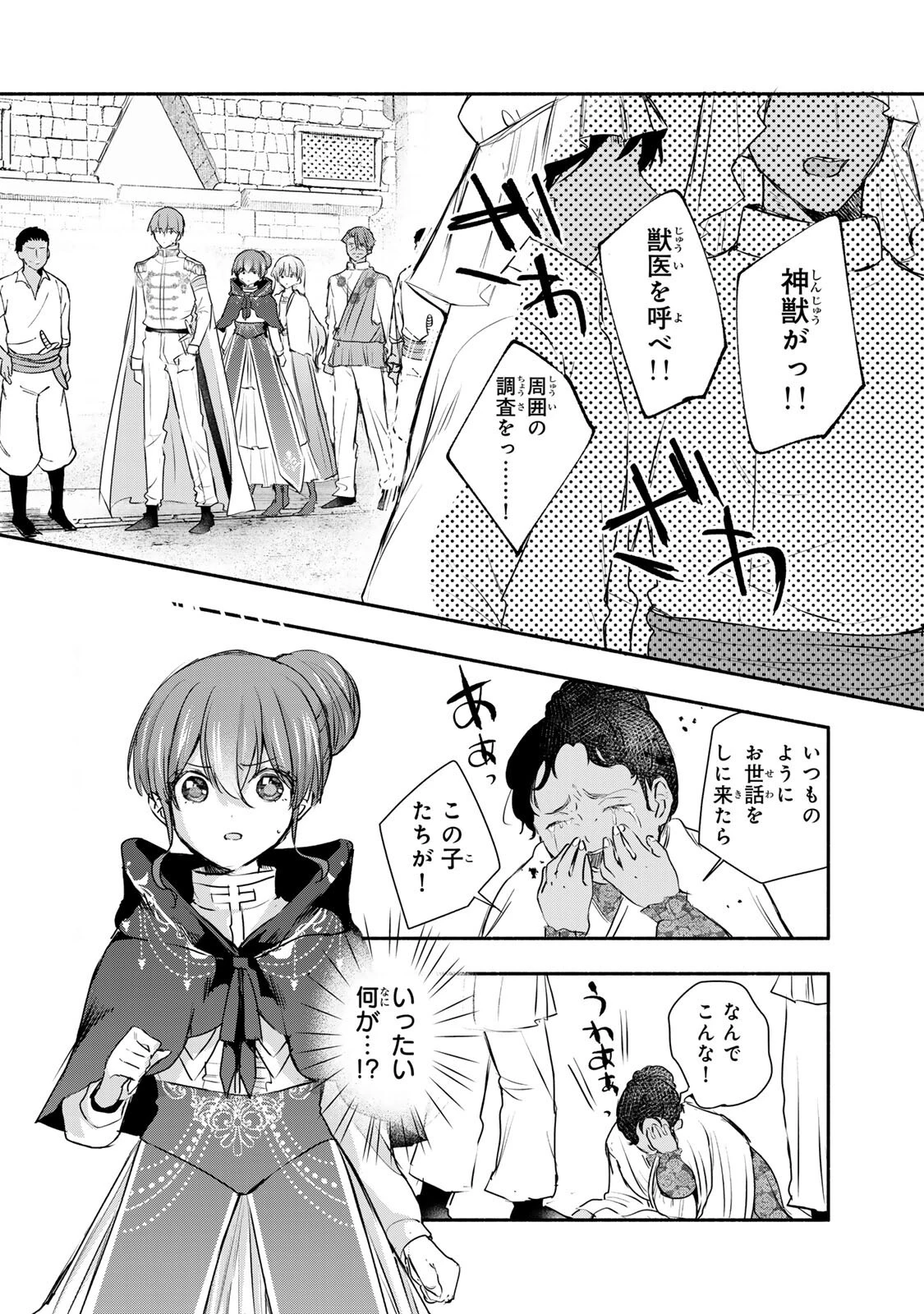 聖女様をお探しでしたら妹で間違いありません。さあどうぞお連れください、今すぐ。 第43話 - 3