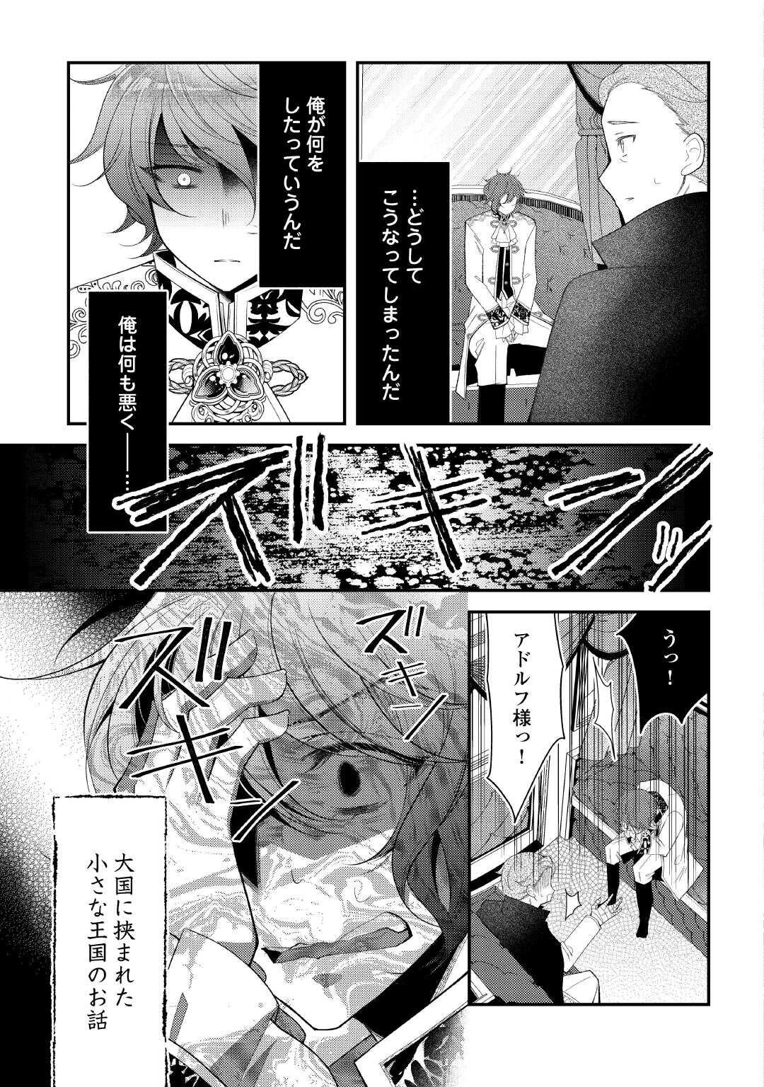 死んだ王妃は二度目の人生を楽しみます ーお飾りの王妃は必要ないのでしょう?ー 第16話 - 33
