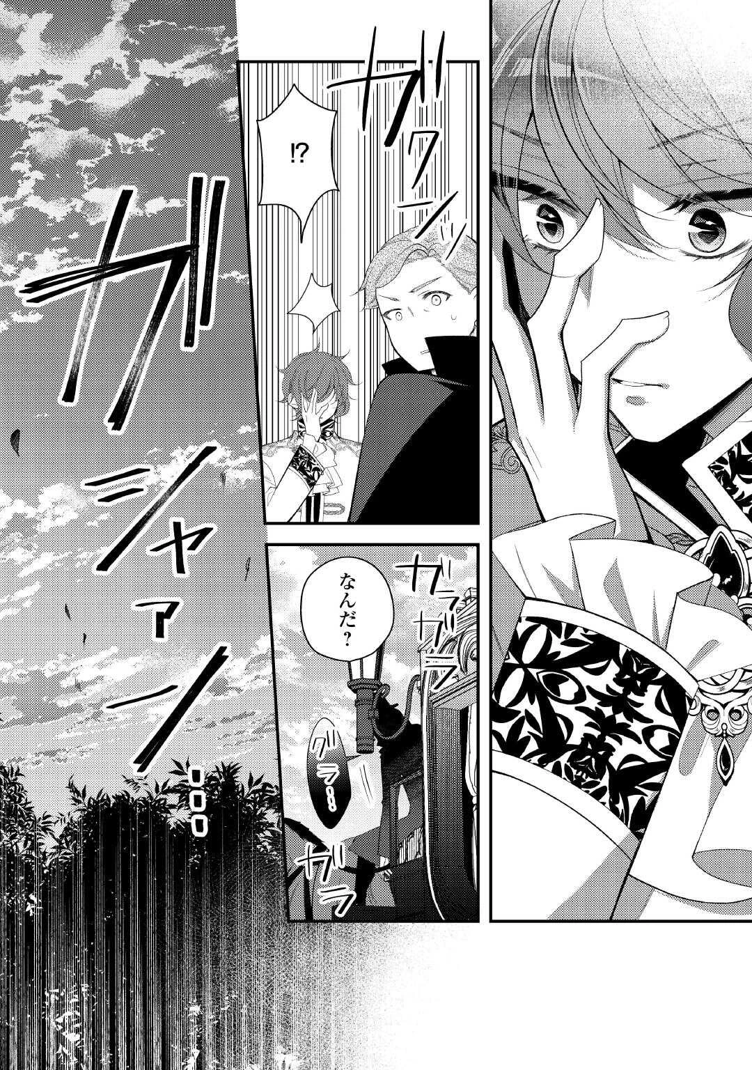 死んだ王妃は二度目の人生を楽しみます ーお飾りの王妃は必要ないのでしょう?ー 第16話 - 36