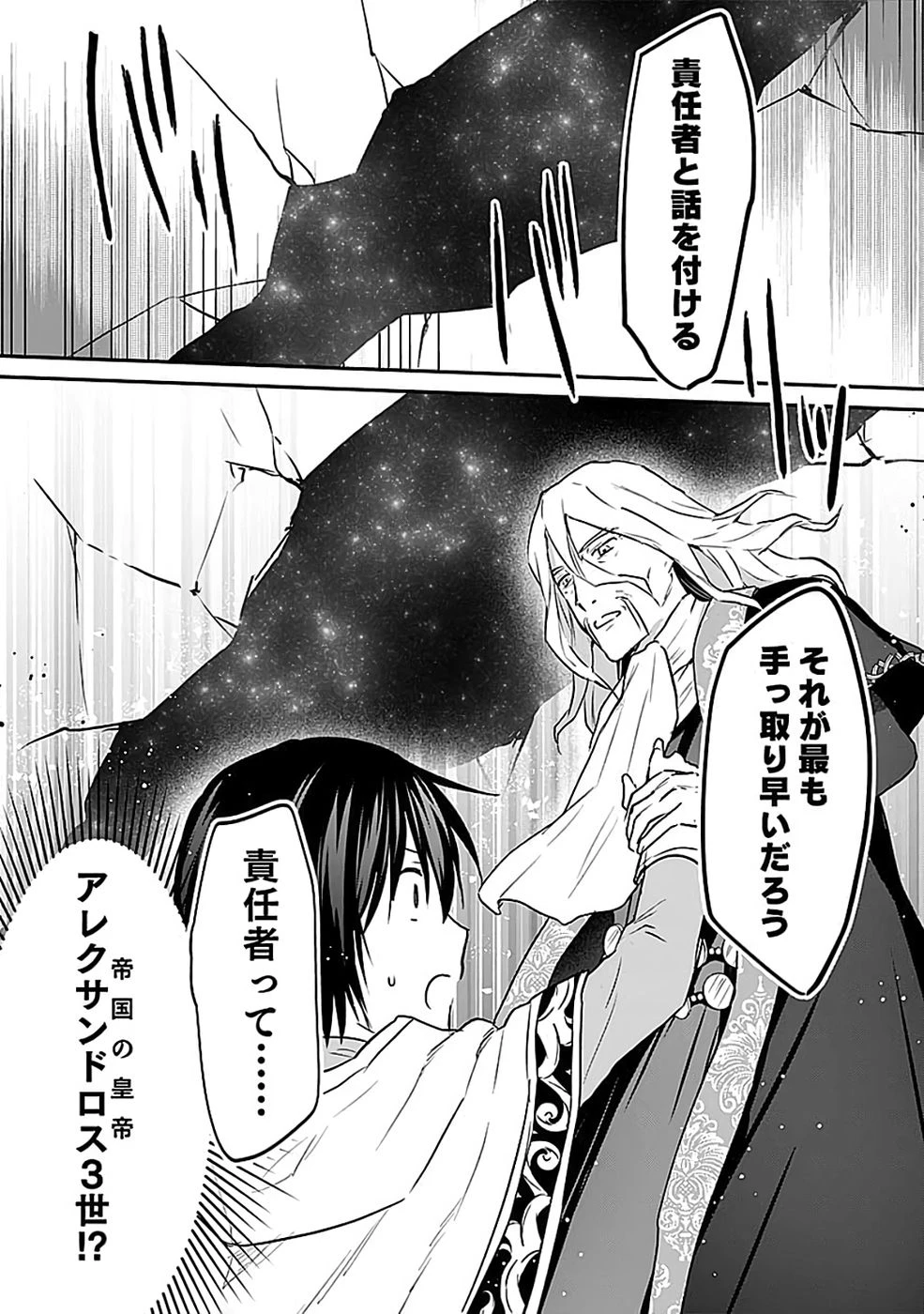 白のネクロマンサー ～死霊王への道～ 第54話 - 29