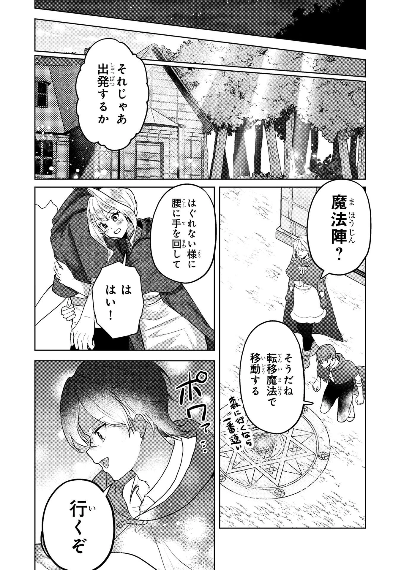 婚約破棄したお馬鹿な王子はほっといて、悪役令嬢は精霊の森で幸せになります。 第6話 - 11