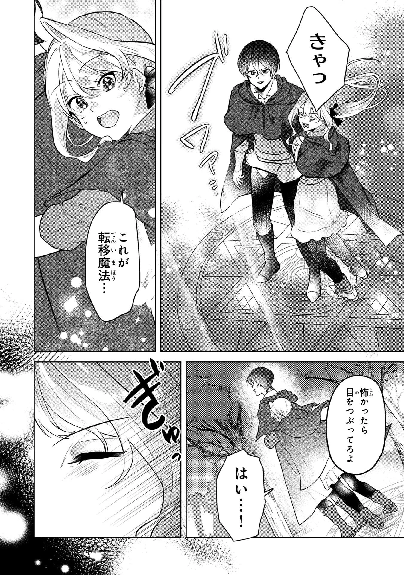 婚約破棄したお馬鹿な王子はほっといて、悪役令嬢は精霊の森で幸せになります。 第6話 - 12