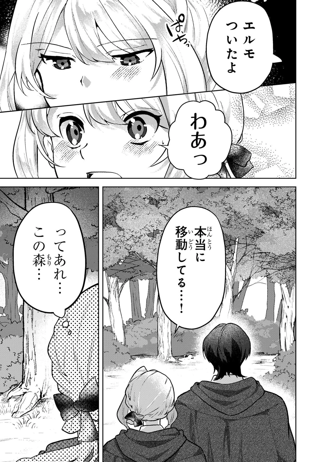 婚約破棄したお馬鹿な王子はほっといて、悪役令嬢は精霊の森で幸せになります。 第6話 - 13