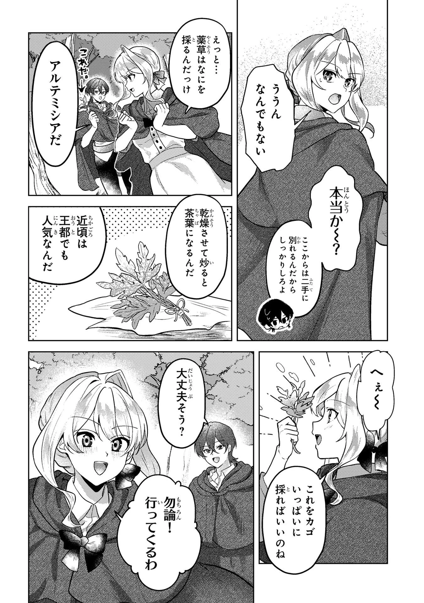 婚約破棄したお馬鹿な王子はほっといて、悪役令嬢は精霊の森で幸せになります。 第6話 - 15