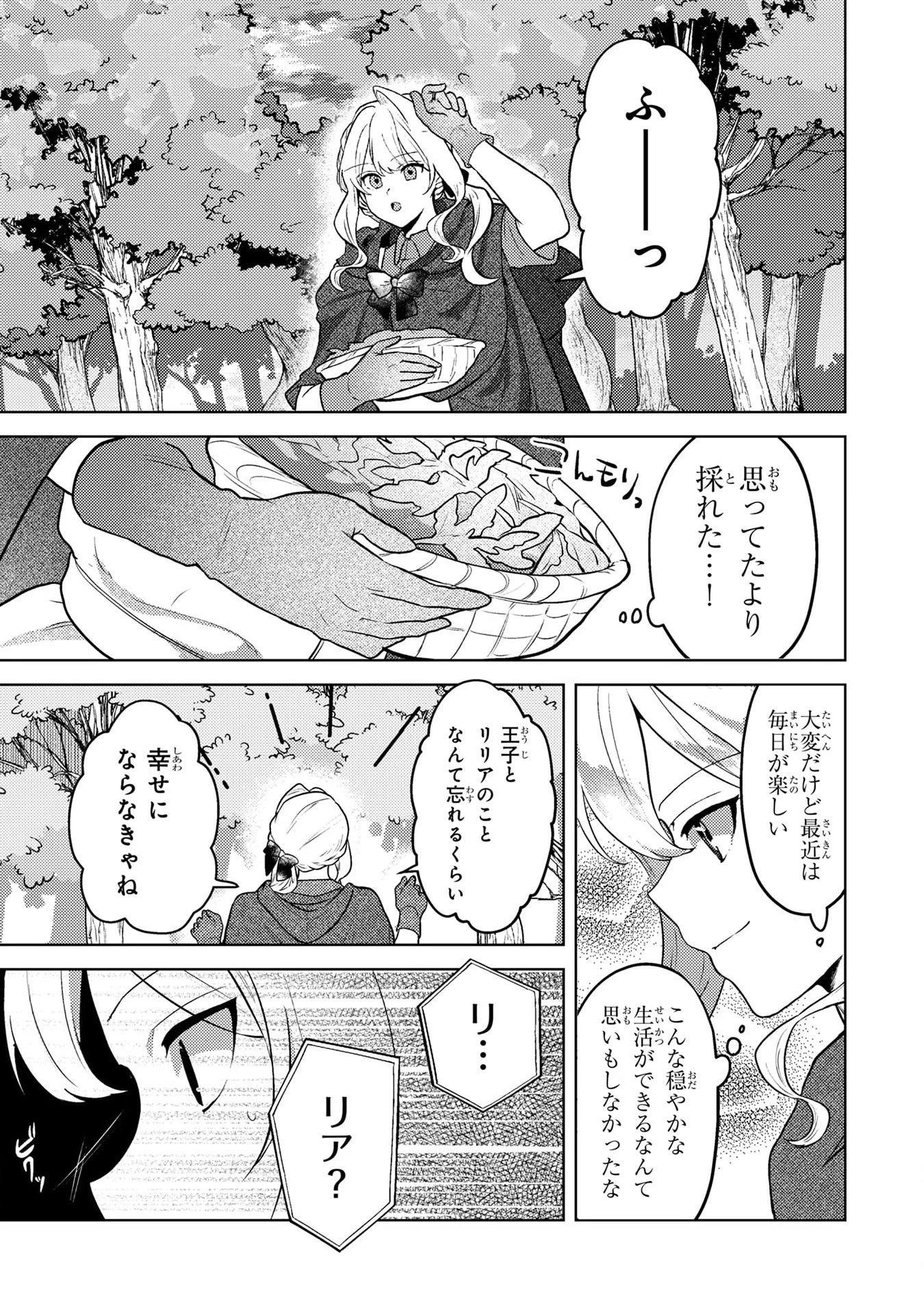 婚約破棄したお馬鹿な王子はほっといて、悪役令嬢は精霊の森で幸せになります。 第6話 - 17
