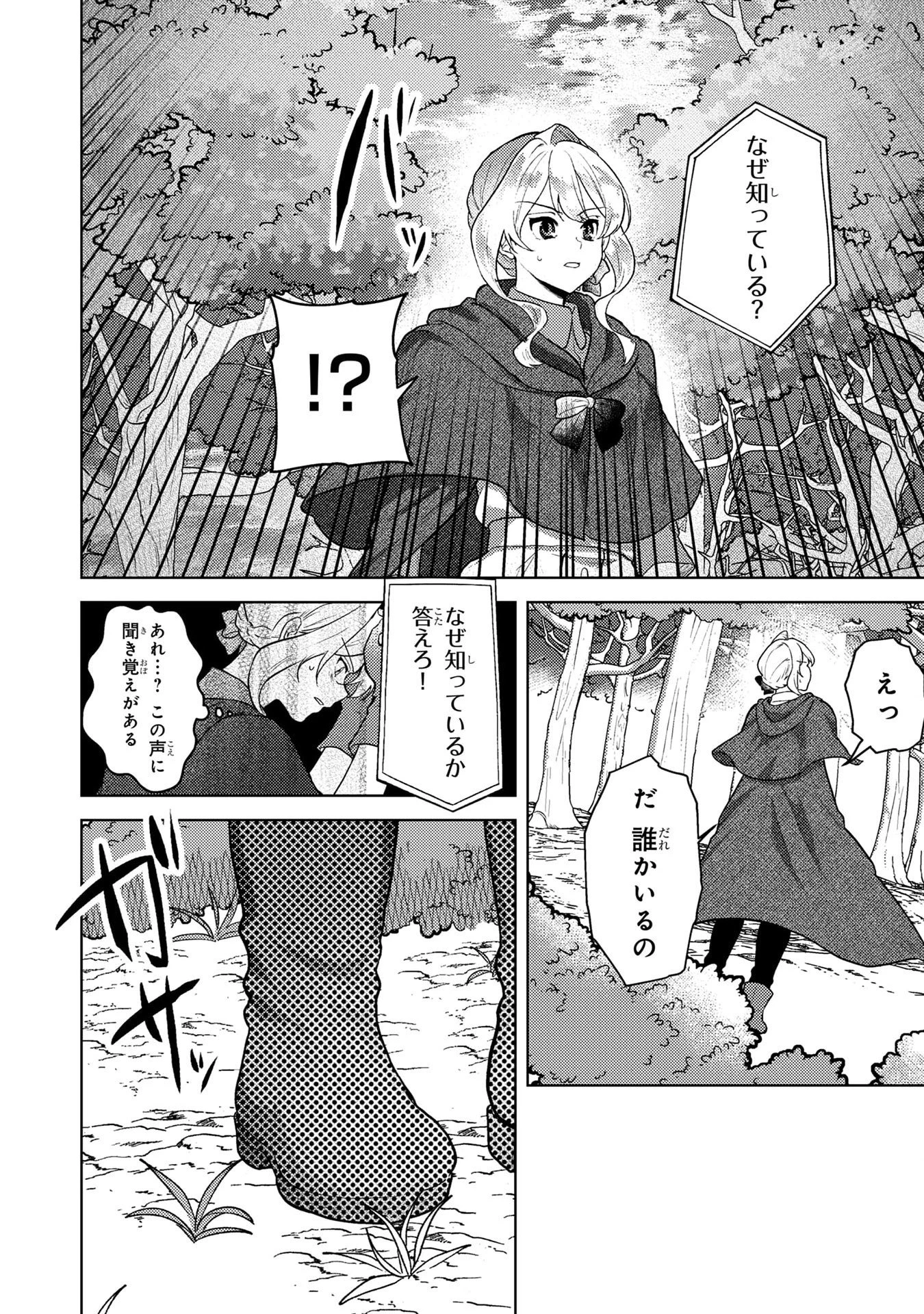 婚約破棄したお馬鹿な王子はほっといて、悪役令嬢は精霊の森で幸せになります。 第6話 - 18