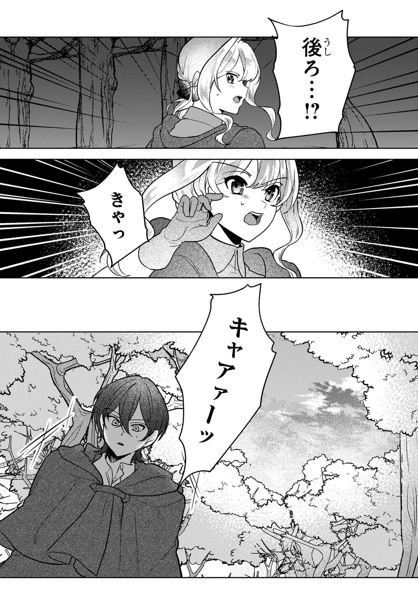 婚約破棄したお馬鹿な王子はほっといて、悪役令嬢は精霊の森で幸せになります。 第6話 - 19