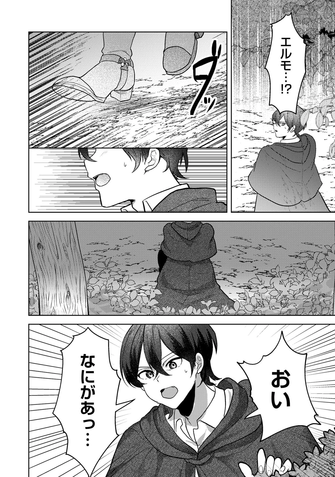 婚約破棄したお馬鹿な王子はほっといて、悪役令嬢は精霊の森で幸せになります。 第6話 - 20