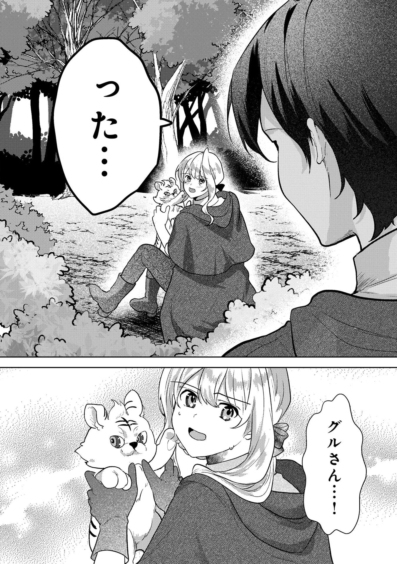 婚約破棄したお馬鹿な王子はほっといて、悪役令嬢は精霊の森で幸せになります。 第6話 - 21