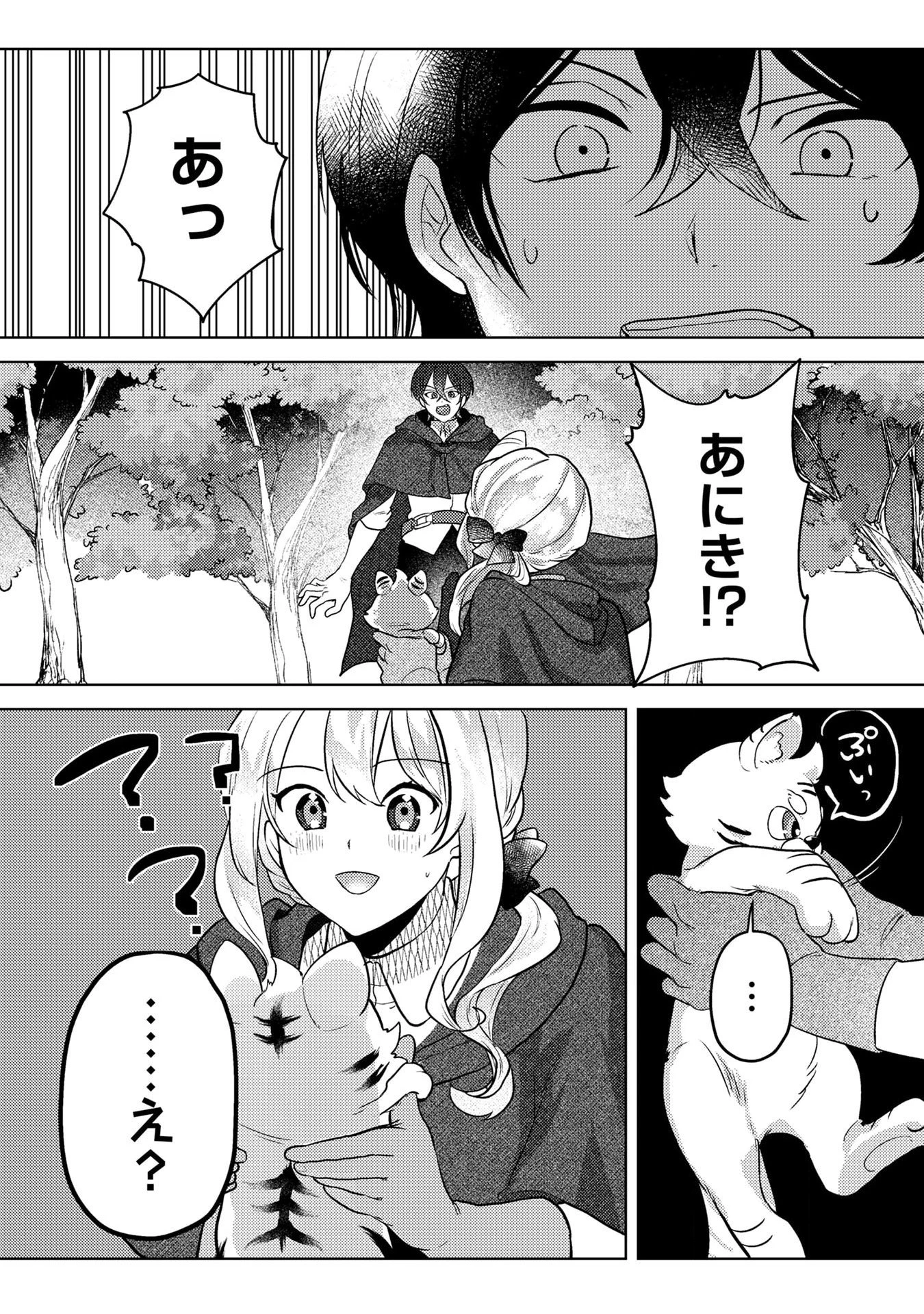 婚約破棄したお馬鹿な王子はほっといて、悪役令嬢は精霊の森で幸せになります。 第6話 - 22