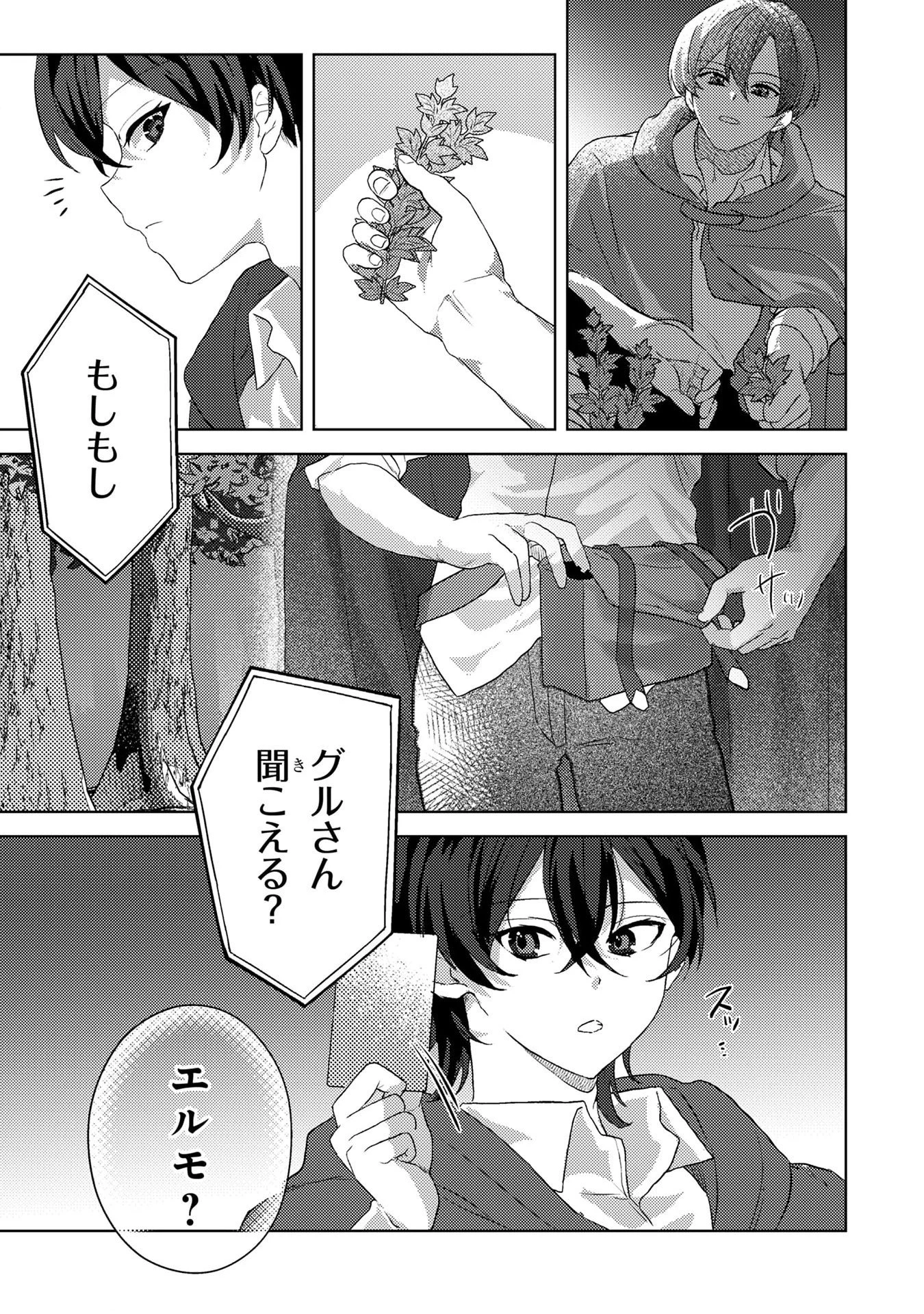 婚約破棄したお馬鹿な王子はほっといて、悪役令嬢は精霊の森で幸せになります。 第4話 - 19