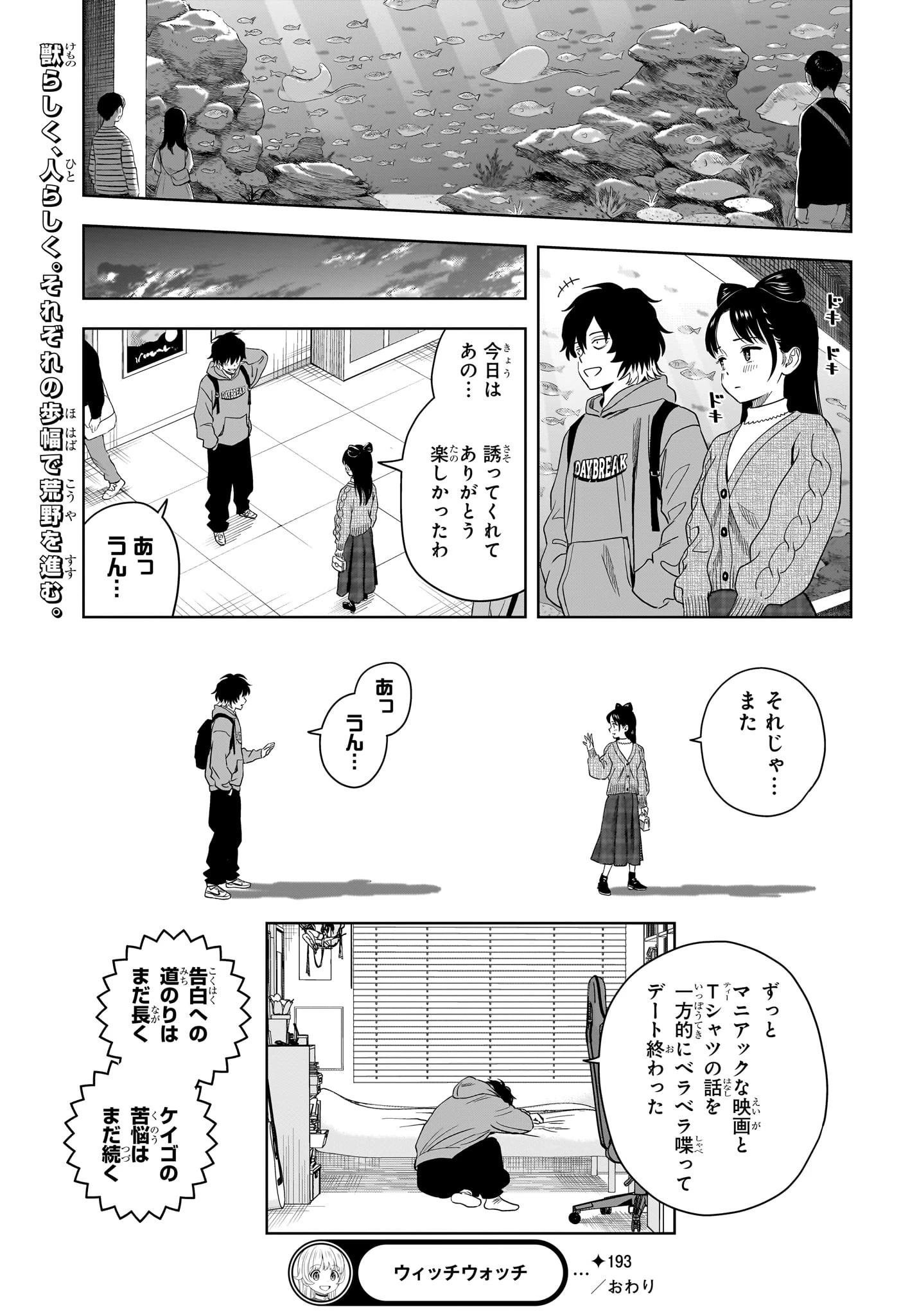 ウィッチ ウォッチ 第193話 - 19