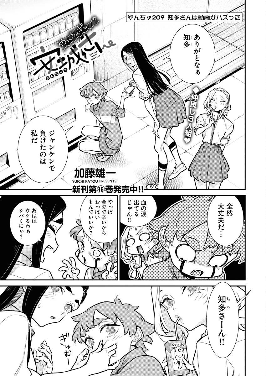 やんちゃギャルの安城さん 第209話 - 1