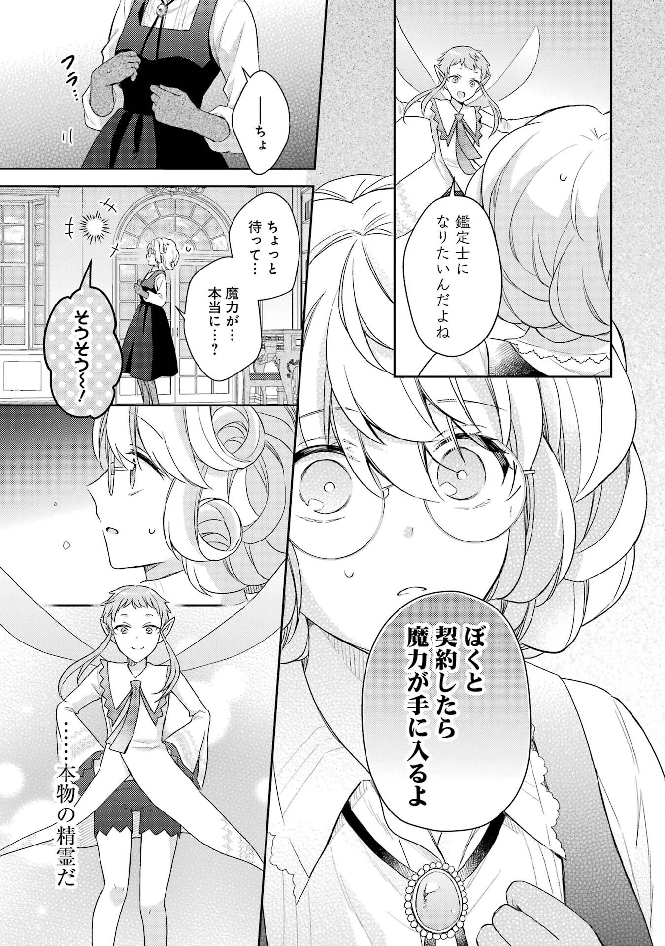 没落令嬢のお気に召すまま　～婚約破棄されたので宝石鑑定士として独立します～ 第1話 - 47