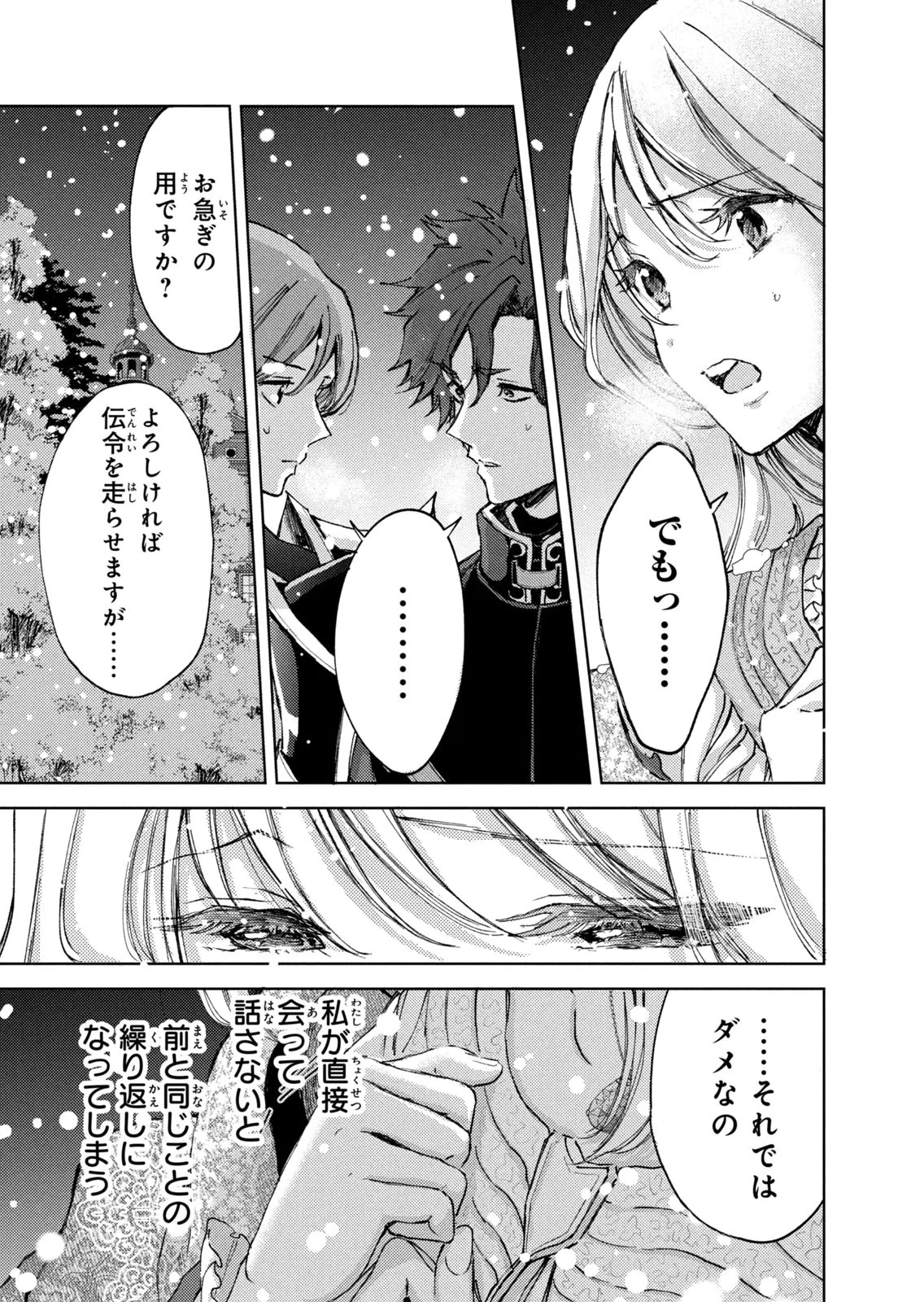 王妃様は離婚したい～異世界から聖女様が来たので、もうお役御免ですわね？～ 第29話 - 25