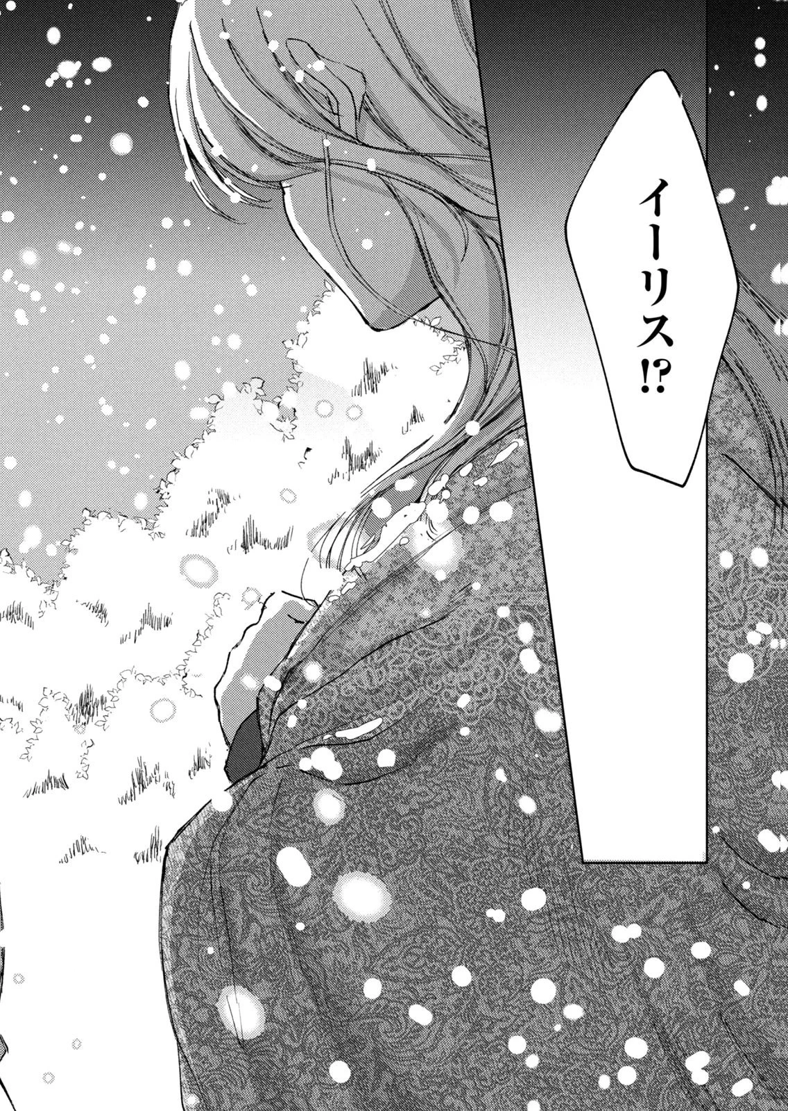 王妃様は離婚したい～異世界から聖女様が来たので、もうお役御免ですわね？～ 第29話 - 28