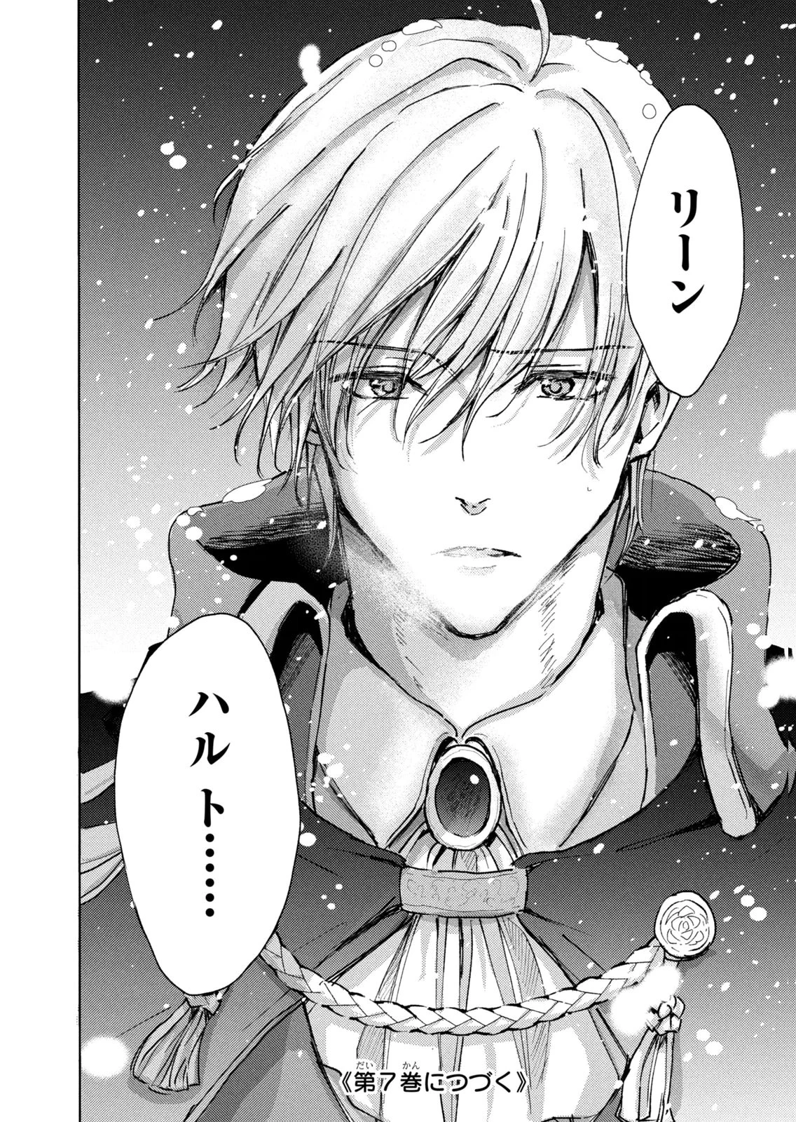 王妃様は離婚したい～異世界から聖女様が来たので、もうお役御免ですわね？～ 第29話 - 30