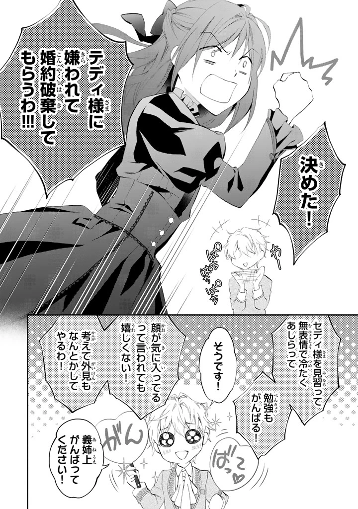 婚約破棄されたいので素顔を隠して残念令嬢になります 第3話 - 9