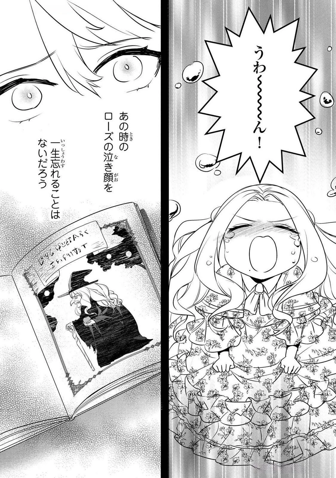 婚約者が浮気しているようなんですけど私は流行りの悪役令嬢ってことであってますか？ 第54話 - 25
