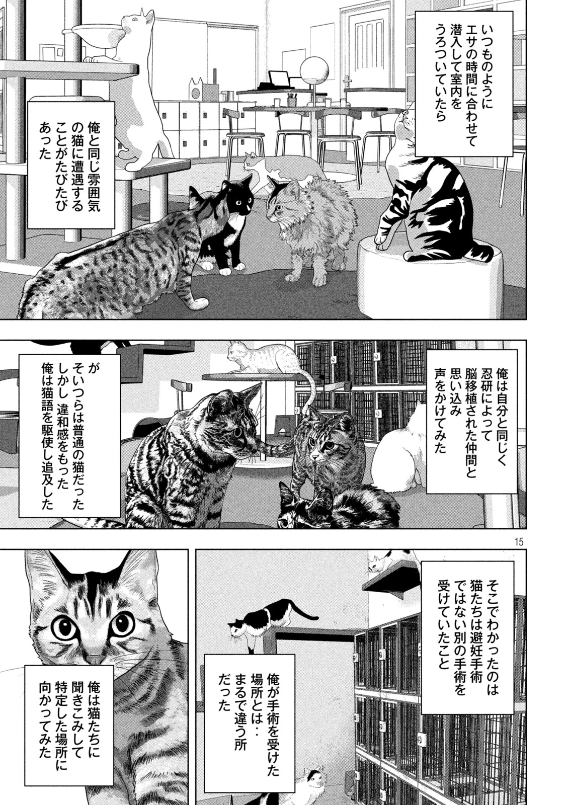 アンダーニンジャ 第162話 - 15